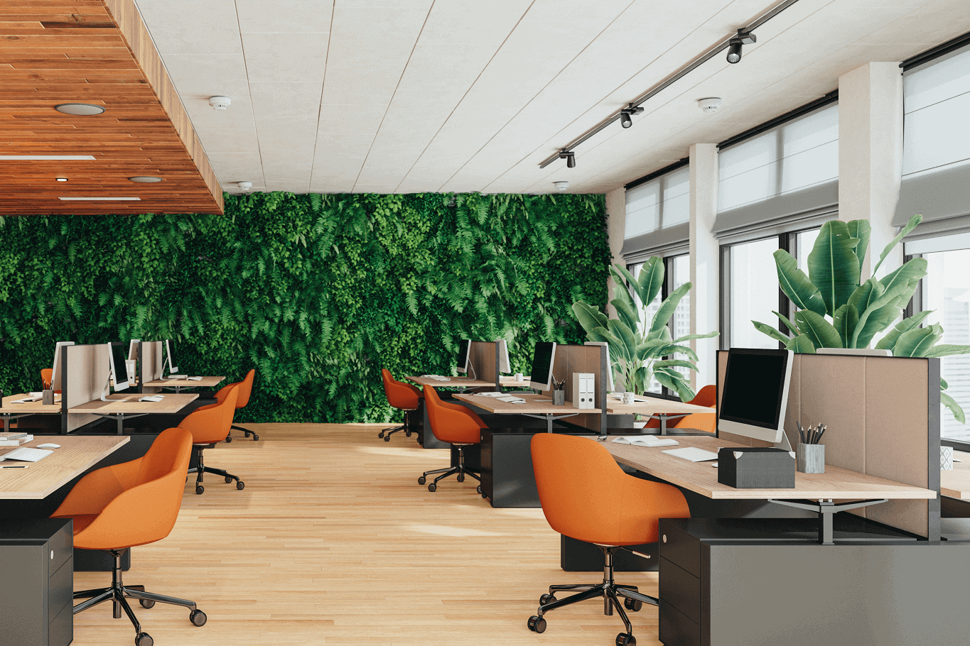 Open Space Green Office Room